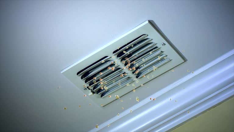 Best HVAC Duct Inspection Services  in Island City, OR